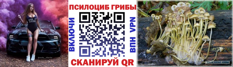 купить закладку Демидов Псилоцибиновые грибы Psilocybine cubensis